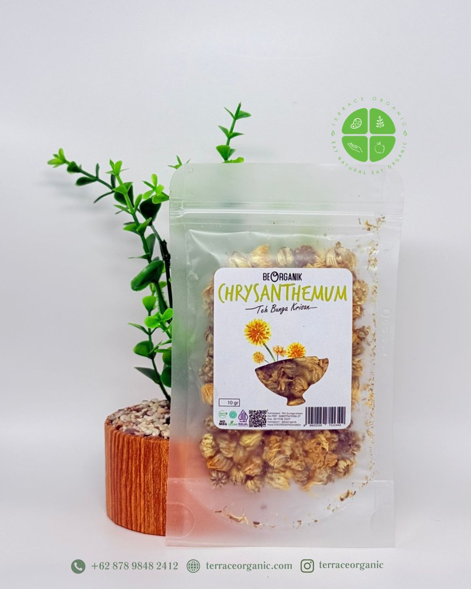 CHRYSANTHEMUM TEA ORGANIK / TEH KRISAN BEORGANIK