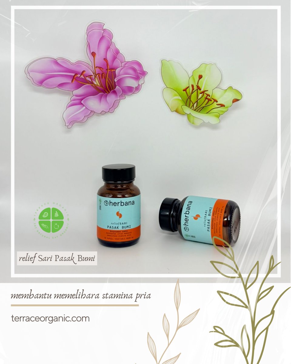 Herbana Relief Sari Pasak Bumi / Tongkat Ali