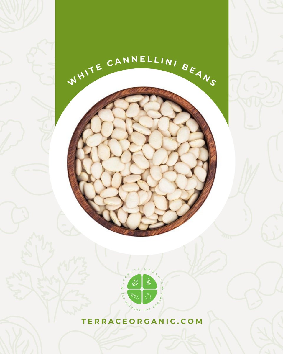 Organic White Cannellini Beans 500g | Kacang Cannellini