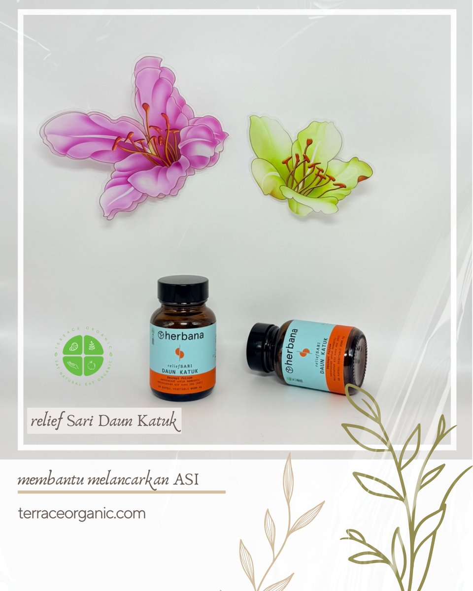 Relief Sari Daun Katuk | 30 Kapsul