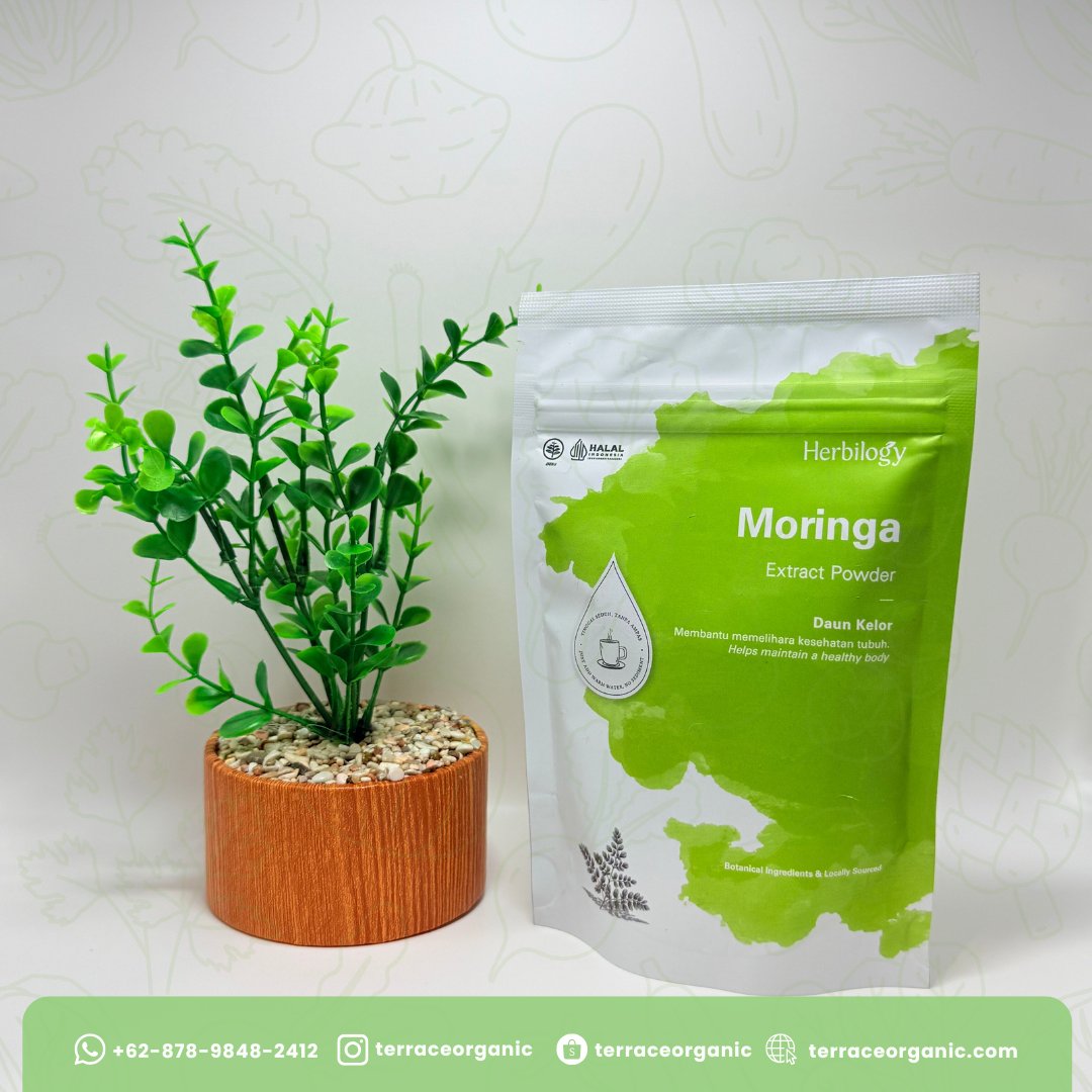 Herbilogy Moringa Extract Powder / Daun Kelor 100g