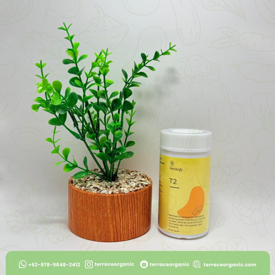 Herbilogy T2 Curcumin - Ekstrak Kunyit & Temulawak Alami (anti inflamasi)